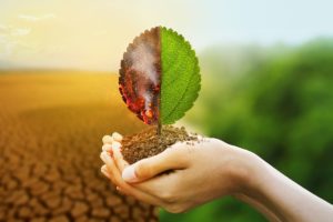 A hand holding a leaf in front of a dry landscape, symbolizing relief from suffering amidst desolation.