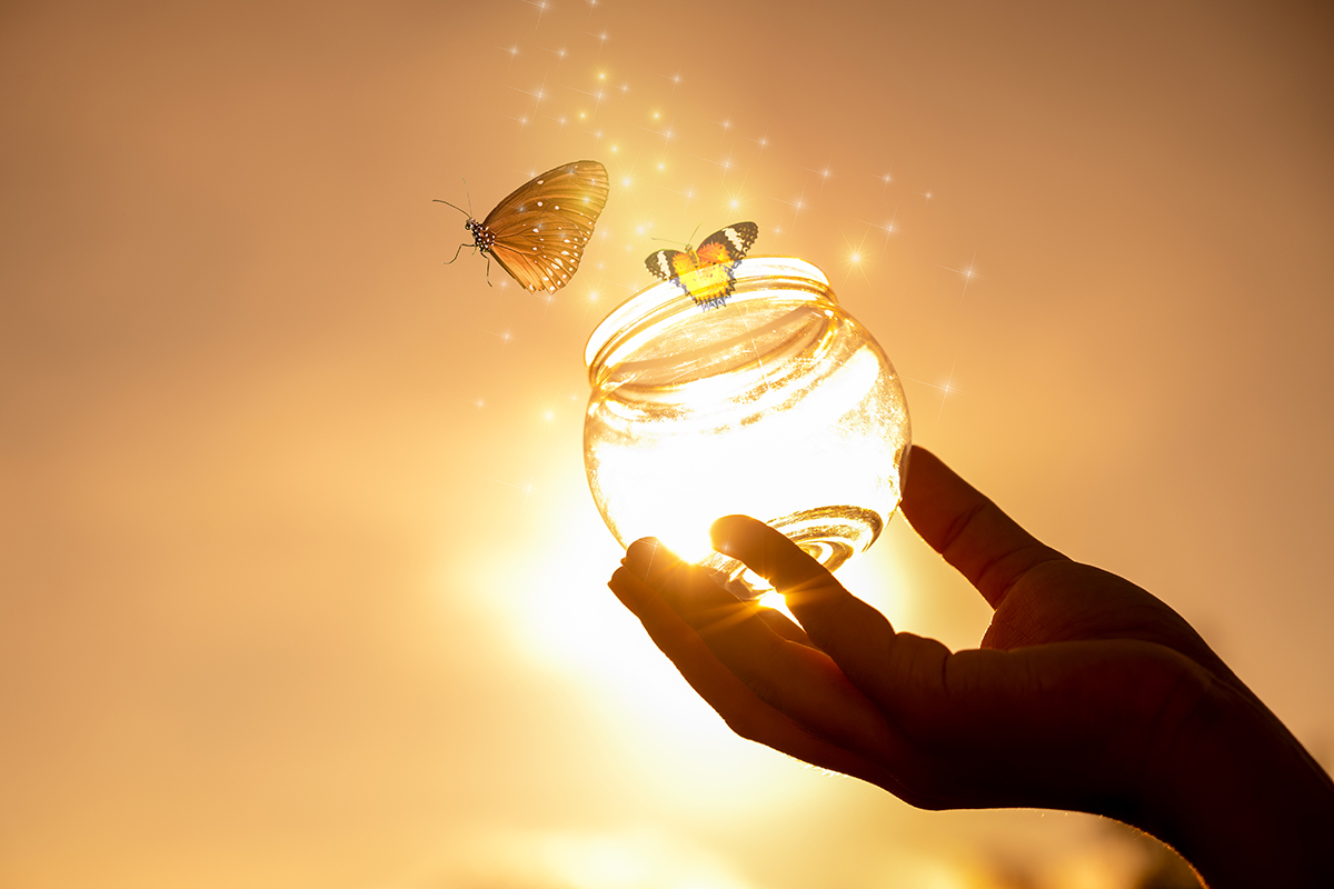 A glass jar with a butterfly, representing the natural life after the invasion of obsessions and purity.