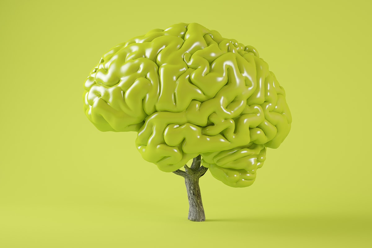 3D أفكار قهرية illustration of a brain on a tranquil green background.